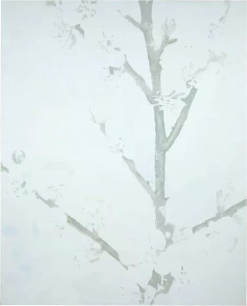 Kotscha Reist — Blüten