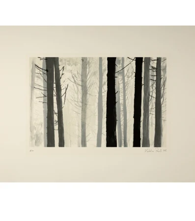 Kotscha Reist — Ohne Titel (Wald) — Galerie Kornfeld