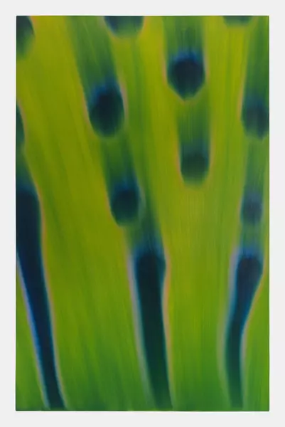 Ladina Gaudenz (1962) — Genève Enchères