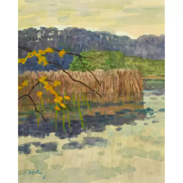 Uferlandschaft mit Schilfgürtel