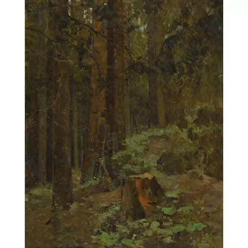 Waldlandschaft