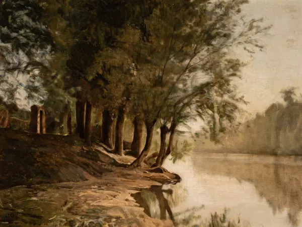 Bords de Rhône