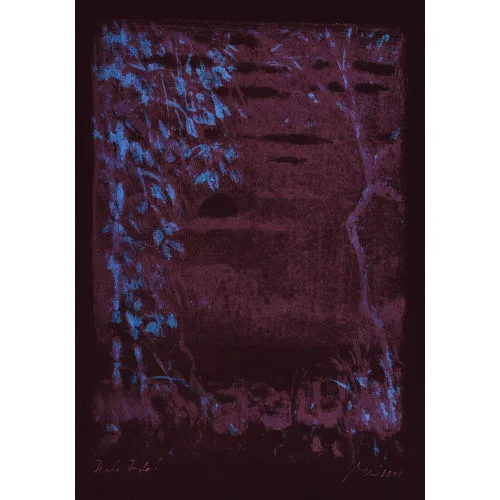 Leonhard Meisser — Konvolut.