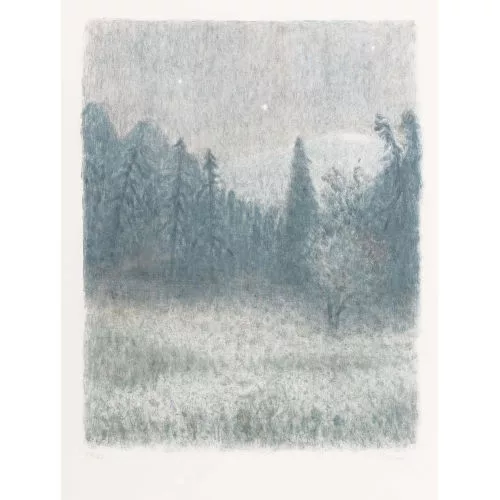 Leonhard Meisser — Waldlichtung.