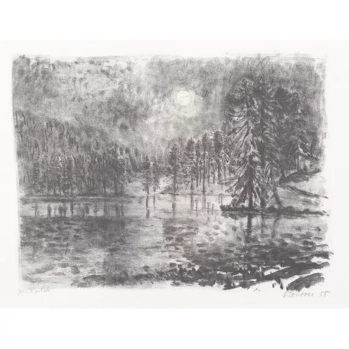 Leonhard Meisser — "Silvaplana".