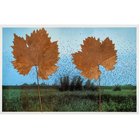 "Landschaft mit zwei Bäumen"