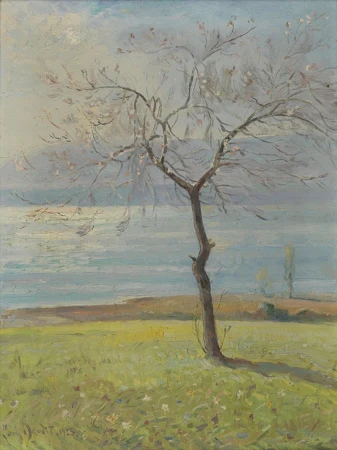 Louis Amédée Baudit (1870-1960) — Genève Enchères
