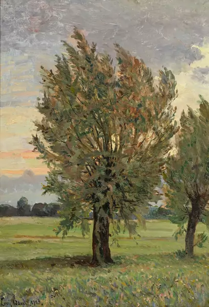 Arbres en bord de champ