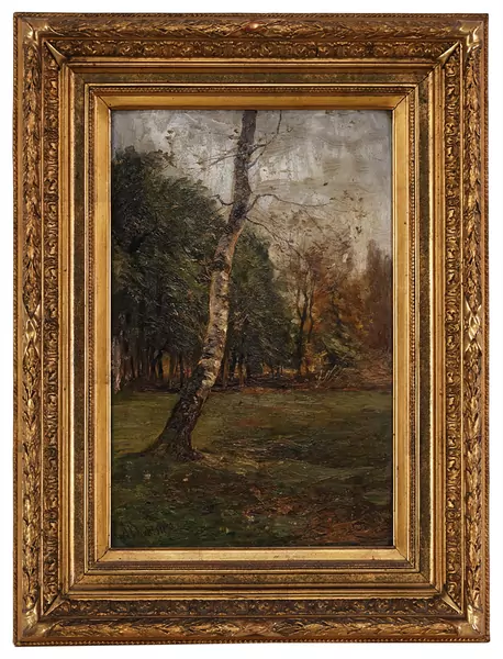 Sous-bois
