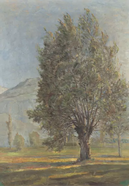Louis Amédée Baudit (1870-1960) — Genève Enchères