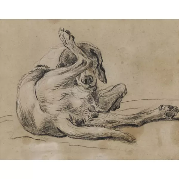 Hundestudie