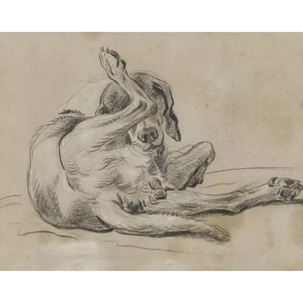 Hundestudie
