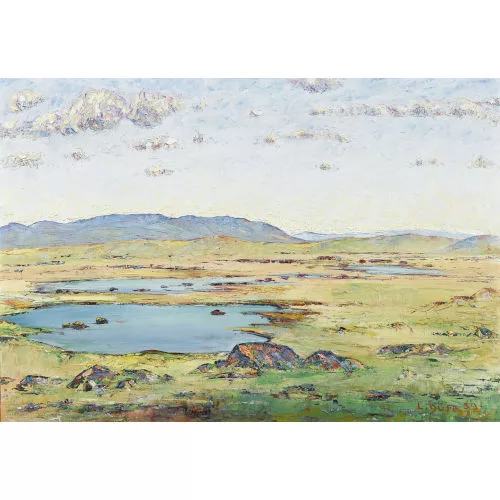Louis Dürr — Sumpfige Hochebene in Irland.