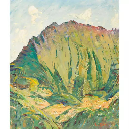 Sommerliche Bergpartie