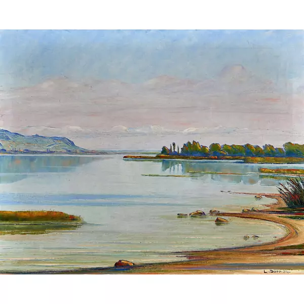 Sommerliche Seelandschaft
