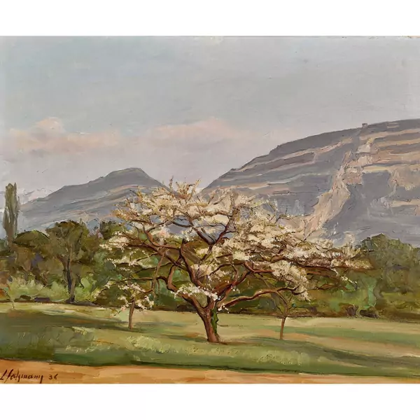 "Pommier en fleur et Salève"