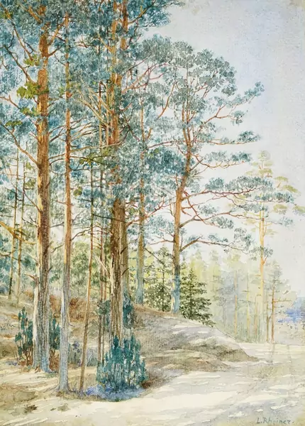 Louis Rheiner (1863-1924) — Genève Enchères