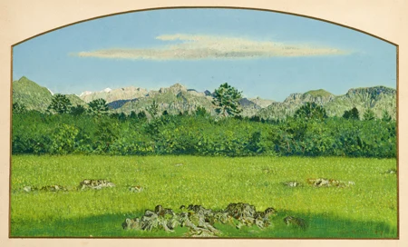 Paysage