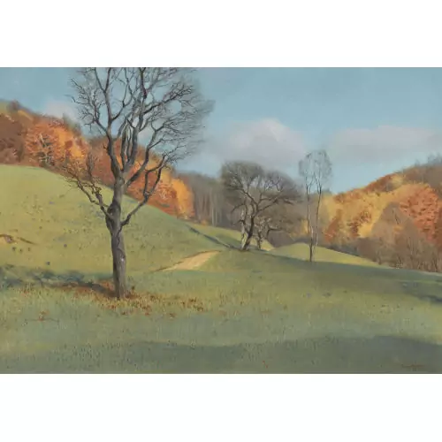 Hügelige Landschaftspartie im Herbst