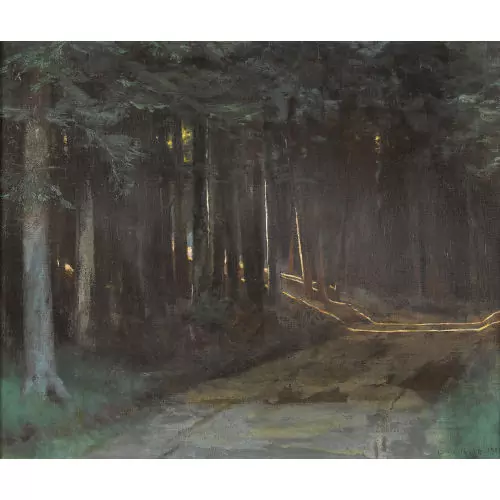 Dunkler Waldweg mit einfliessendem Sonnenlicht