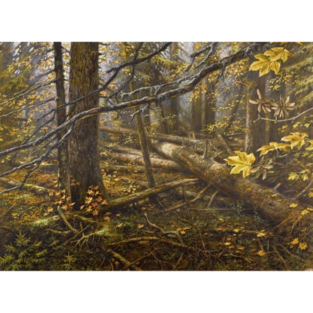 Herbstliche Waldpartie