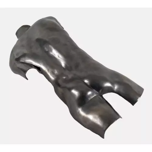 Männlicher Torso