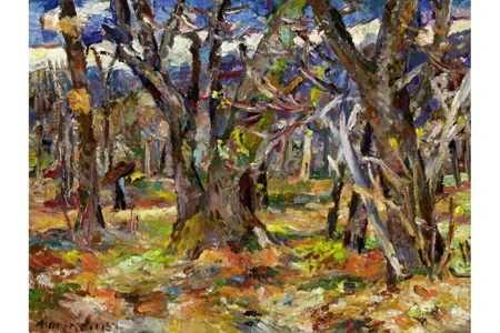 Der Spaziergänger im Wald