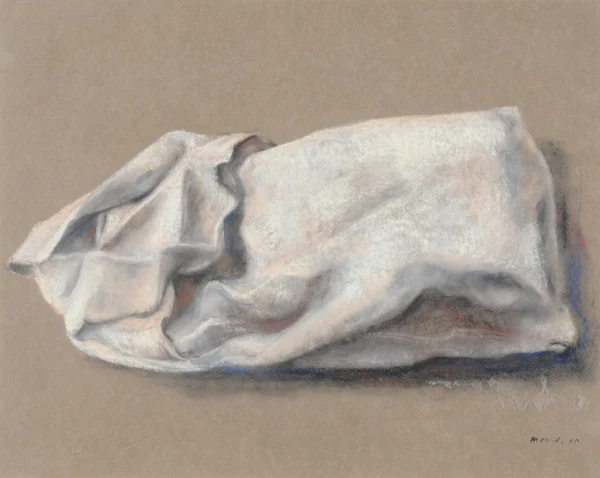 Marc-Antoine Fehr — Étude de sac, 1995