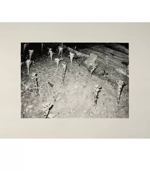 Marcel Gähler — Ohne Titel