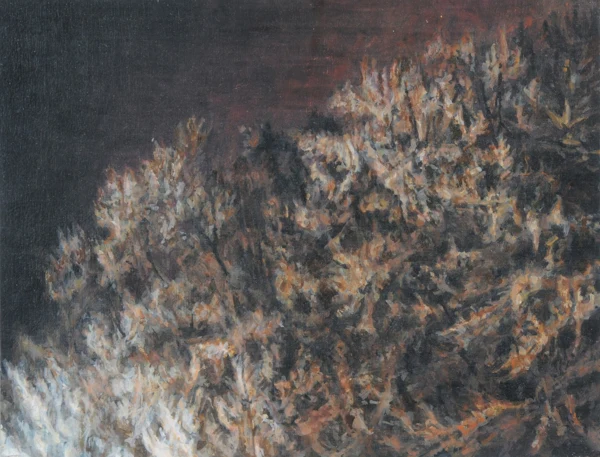 Marcel Gähler — Ohne Titel (0_2007_05), 2007