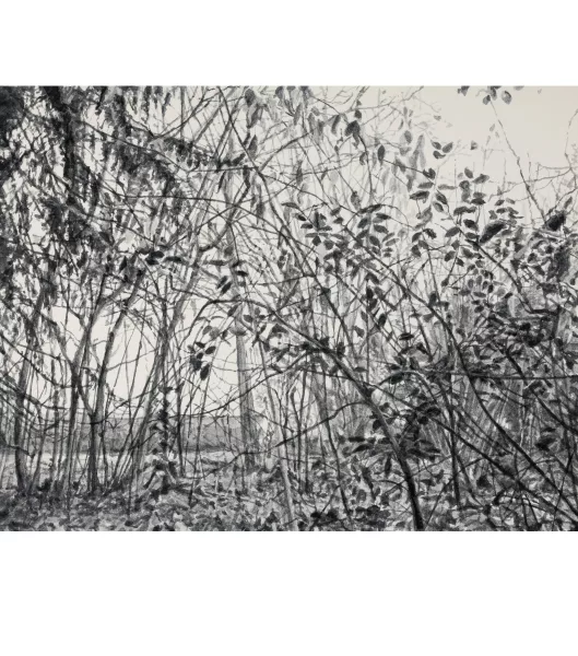 Marcel Gähler — Ohne Titel
