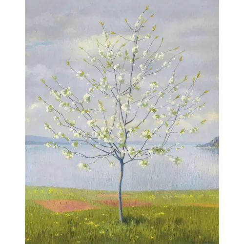 Marcus Jacobi — Blühender Baum am Thunersee.