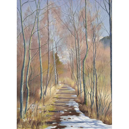 Marcus Jacobi — Sonnige Landschaft mit Waldweg im Vorfrühling.