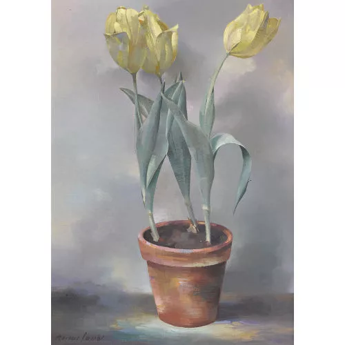 Marcus Jacobi — Gelbe Tulpen im Topf.