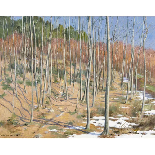 Marcus Jacobi — Herbstliche Waldpartie.