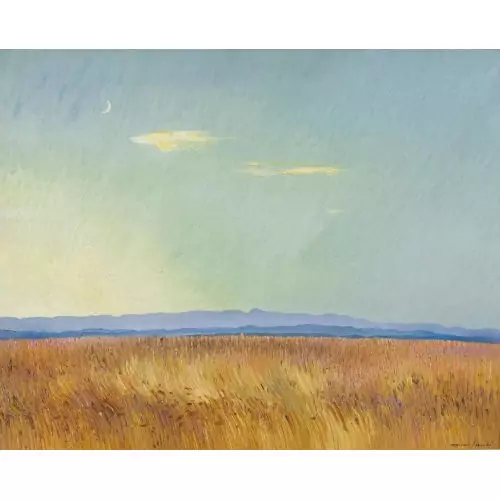 Kornfeld bei Rutschwil
