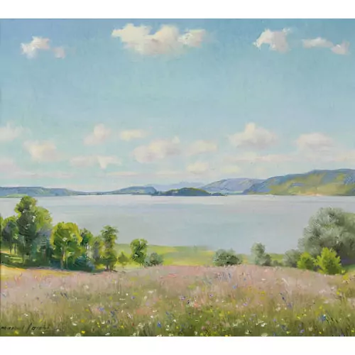 Frühlingswiese am Bielersee