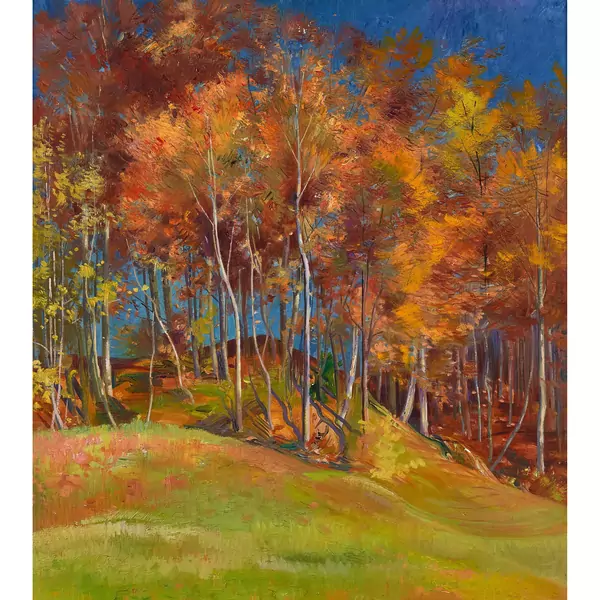 Herbstliche Waldpartie