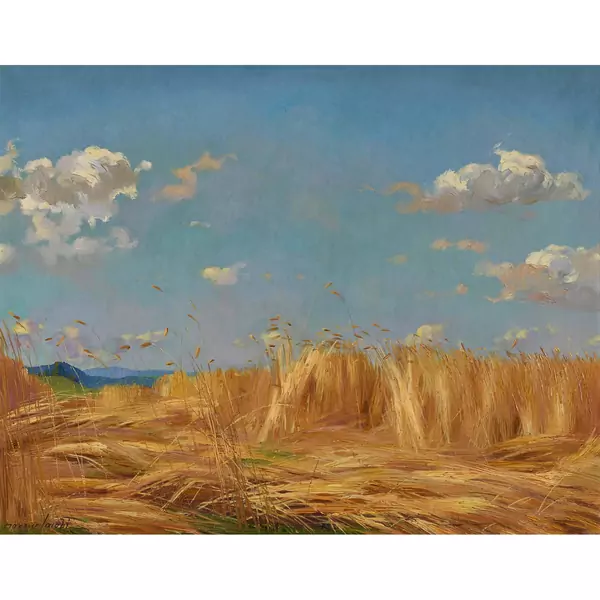 "Korn und Wolken"