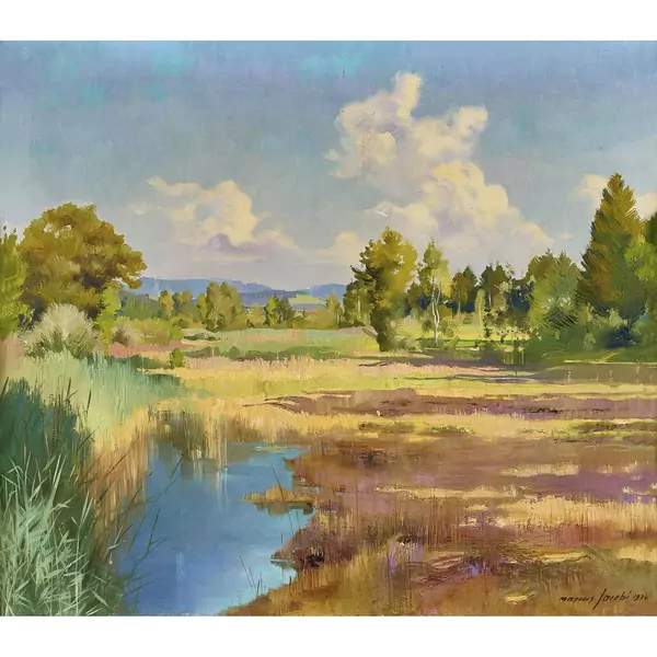 Sommerliche Auenlandschaft