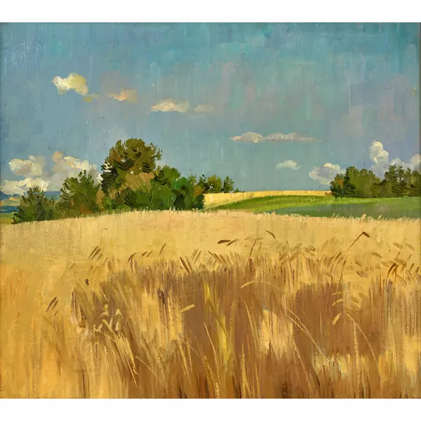 Feldlandschaft
