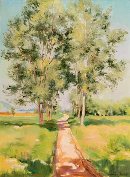 Weg nach Erlach nach der St. Petersinsel