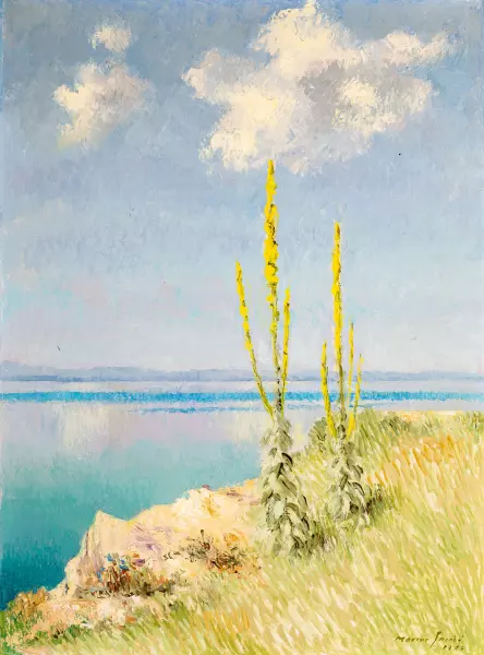 Königskerzen mit See