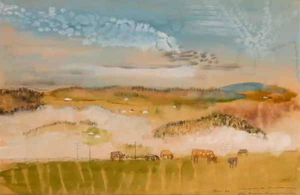 Kühe auf Feld