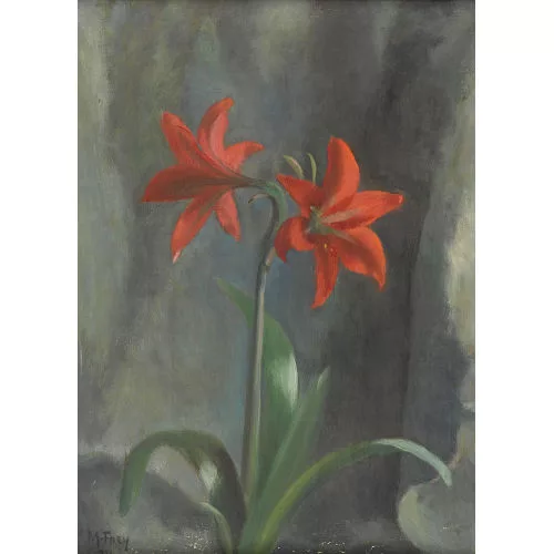 Marguerite Frey-Surbek — Rote Amaryllis.