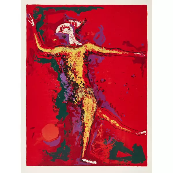 Il ballerino