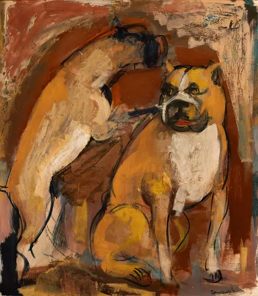 Zwei Boxerhunde