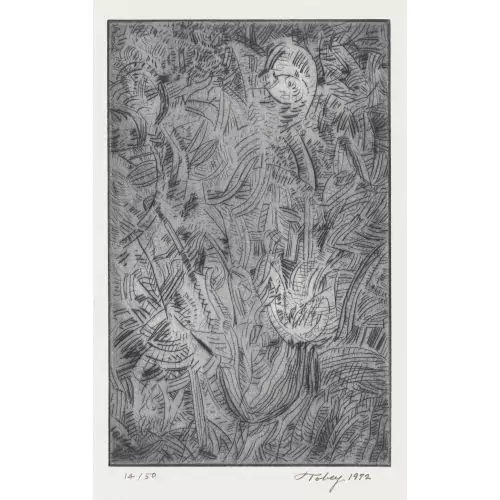 "Magie Forest"