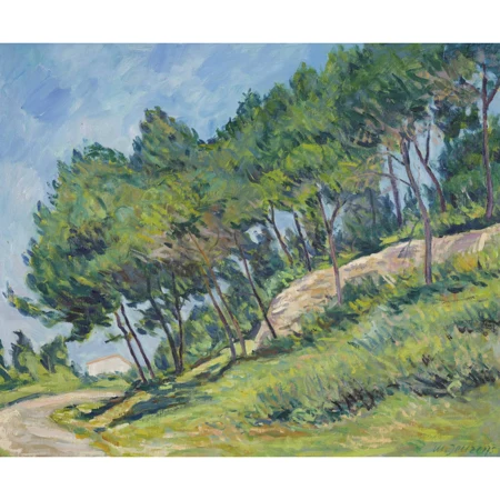 "Provence, Pinienwäldchen"
