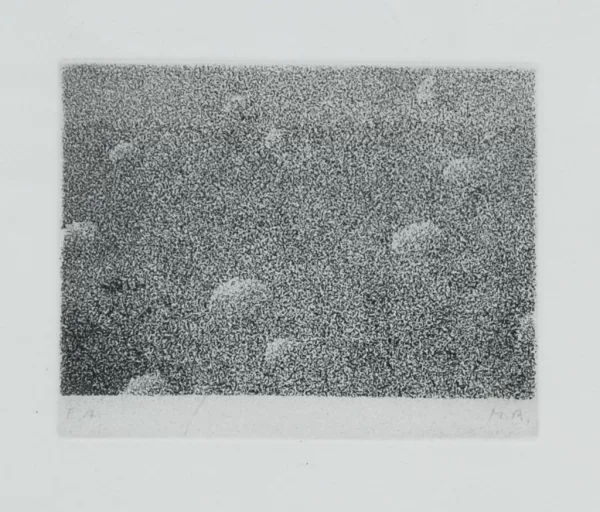 Markus Raetz — Kugeln, 1970